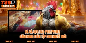 Đá Gà Cựa Dao Philippines 789P - Cẩm Nang Toàn Tập Cho Người Mới 