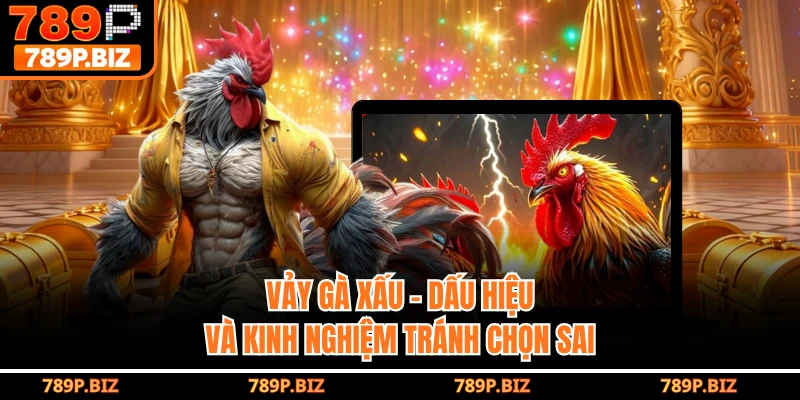 Vảy Gà Xấu - Những Dấu Hiệu Và Kinh Nghiệm Tránh Chọn Sai